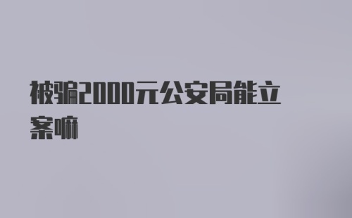 被骗2000元公安局能立案嘛