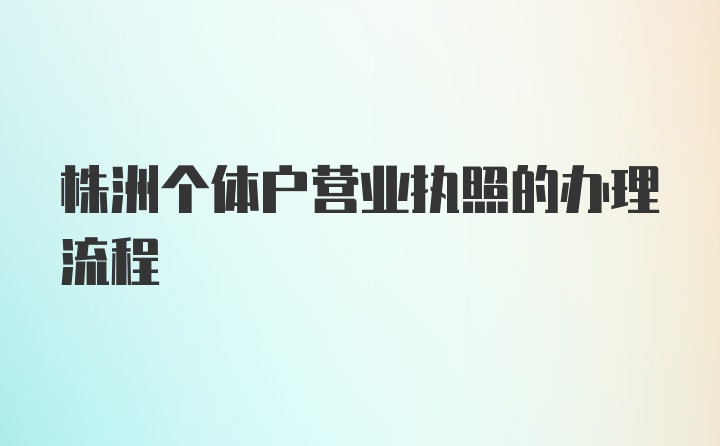 株洲个体户营业执照的办理流程