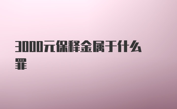 3000元保释金属于什么罪