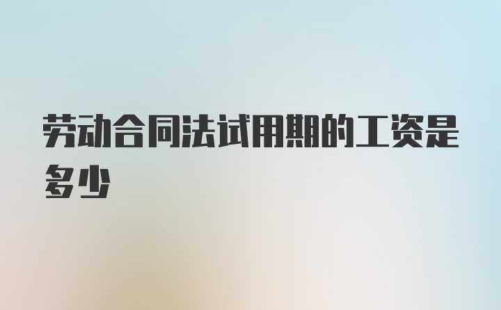 劳动合同法试用期的工资是多少