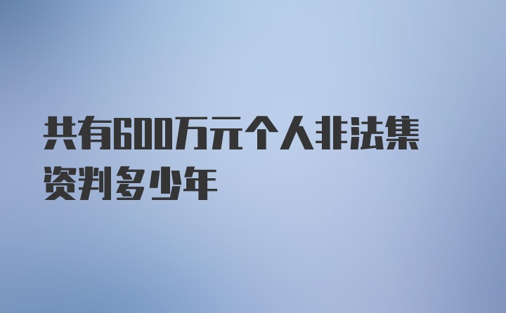 共有600万元个人非法集资判多少年