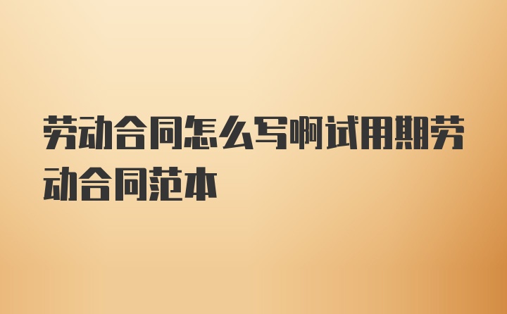 劳动合同怎么写啊试用期劳动合同范本