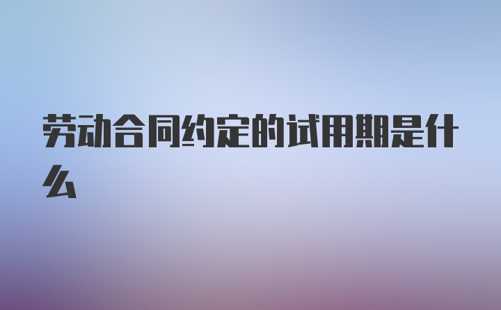 劳动合同约定的试用期是什么