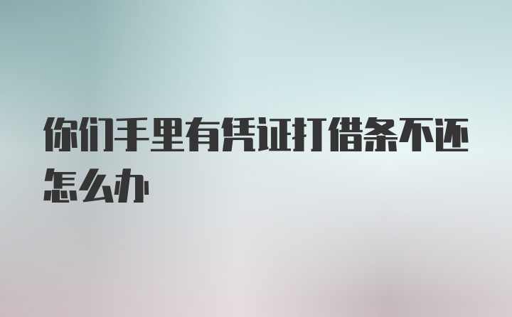 你们手里有凭证打借条不还怎么办