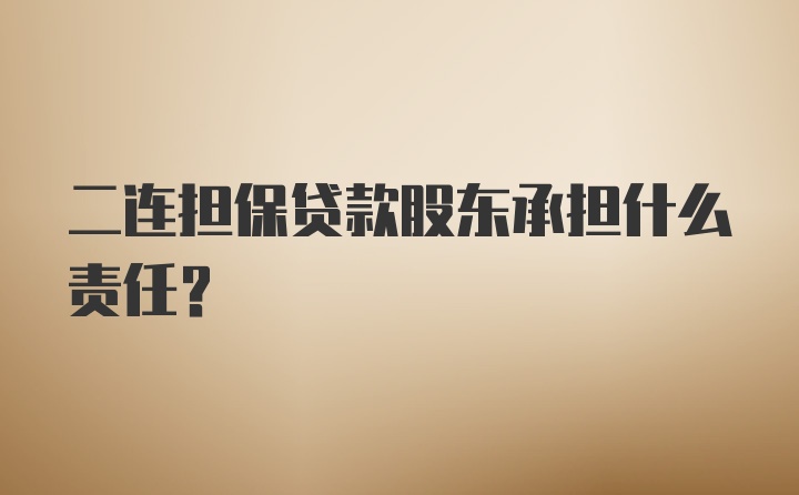 二连担保贷款股东承担什么责任？