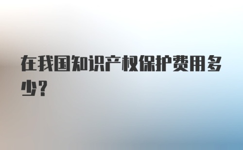 在我国知识产权保护费用多少？