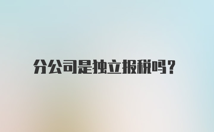 分公司是独立报税吗？