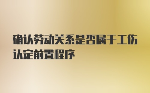 确认劳动关系是否属于工伤认定前置程序