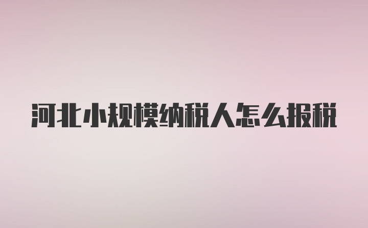 河北小规模纳税人怎么报税