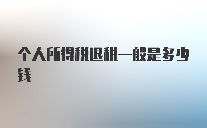 个人所得税退税一般是多少钱