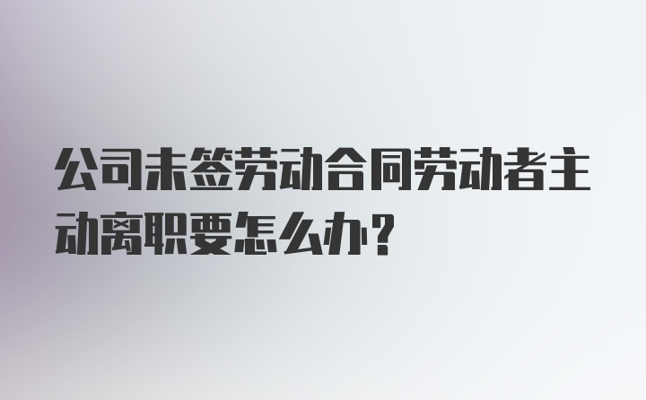 公司未签劳动合同劳动者主动离职要怎么办？