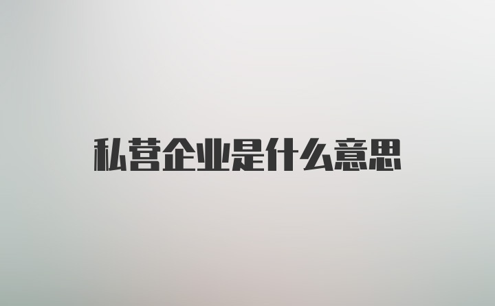 私营企业是什么意思