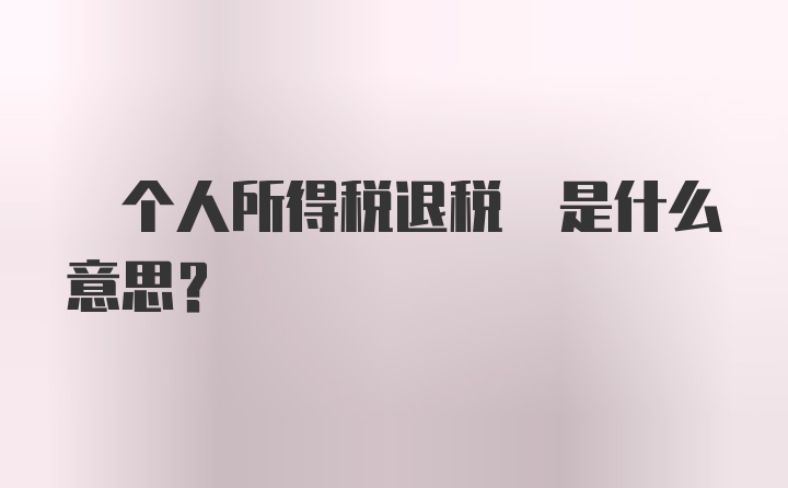  个人所得税退税 是什么意思？