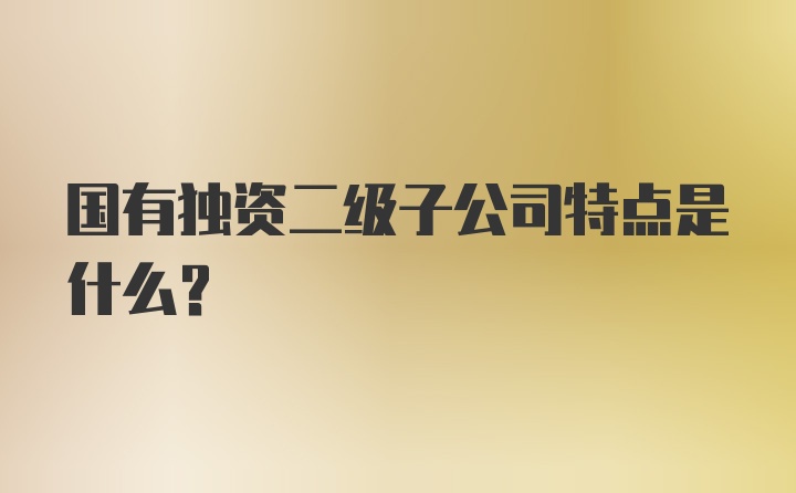 国有独资二级子公司特点是什么?