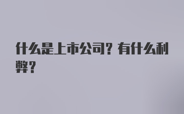 什么是上市公司？有什么利弊？