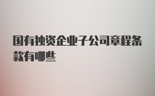 国有独资企业子公司章程条款有哪些