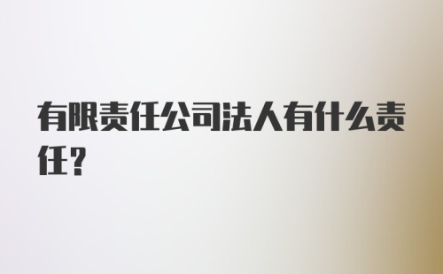 有限责任公司法人有什么责任？