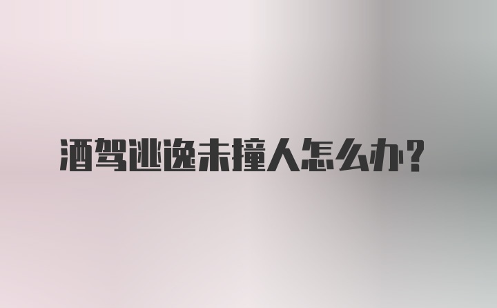 酒驾逃逸未撞人怎么办？