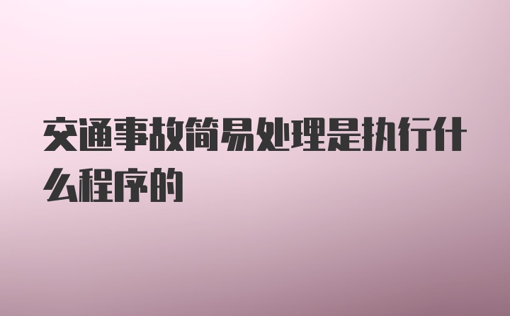 交通事故简易处理是执行什么程序的