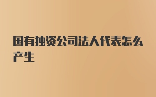 国有独资公司法人代表怎么产生