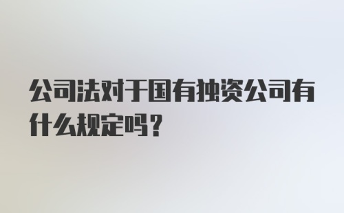 公司法对于国有独资公司有什么规定吗?