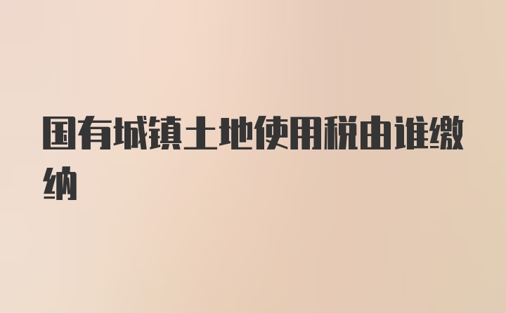 国有城镇土地使用税由谁缴纳