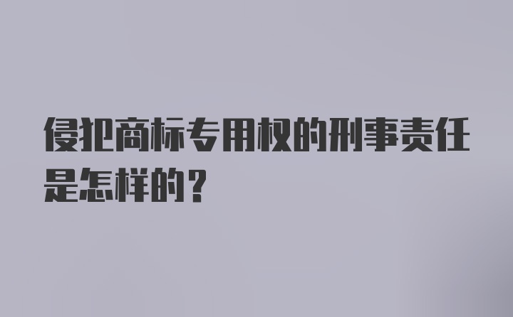 侵犯商标专用权的刑事责任是怎样的?