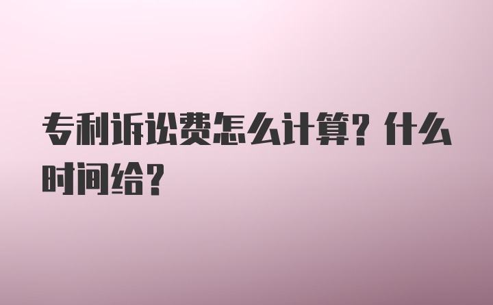 专利诉讼费怎么计算？什么时间给？