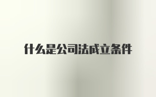 什么是公司法成立条件