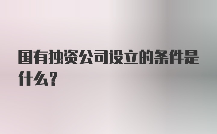 国有独资公司设立的条件是什么？