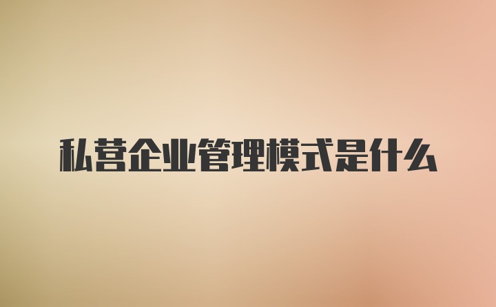 私营企业管理模式是什么