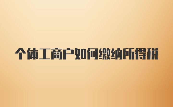 个体工商户如何缴纳所得税