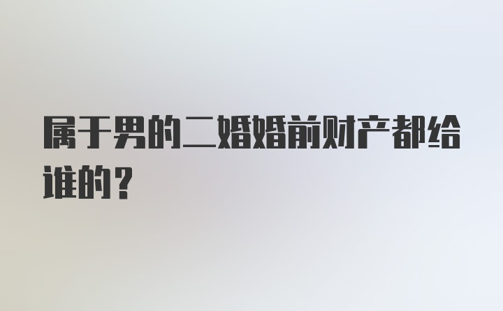 属于男的二婚婚前财产都给谁的？