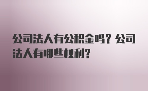 公司法人有公积金吗？公司法人有哪些权利？