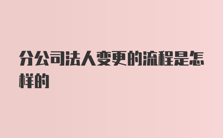 分公司法人变更的流程是怎样的