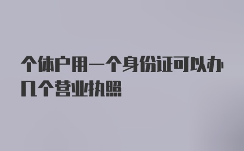 个体户用一个身份证可以办几个营业执照