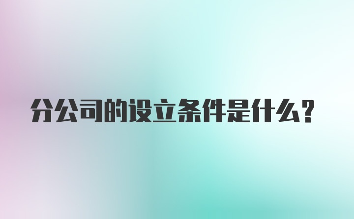 分公司的设立条件是什么?