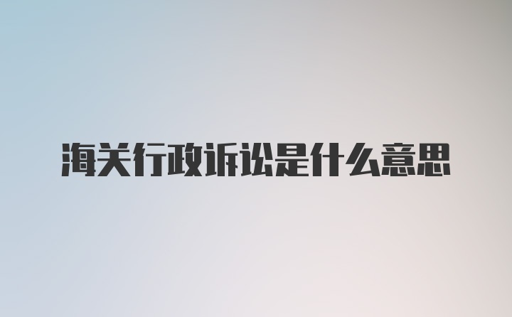 海关行政诉讼是什么意思