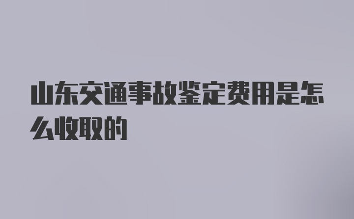 山东交通事故鉴定费用是怎么收取的