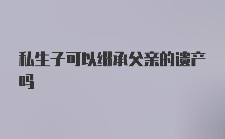 私生子可以继承父亲的遗产吗