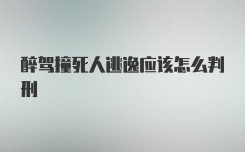 醉驾撞死人逃逸应该怎么判刑