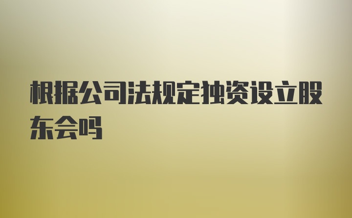 根据公司法规定独资设立股东会吗