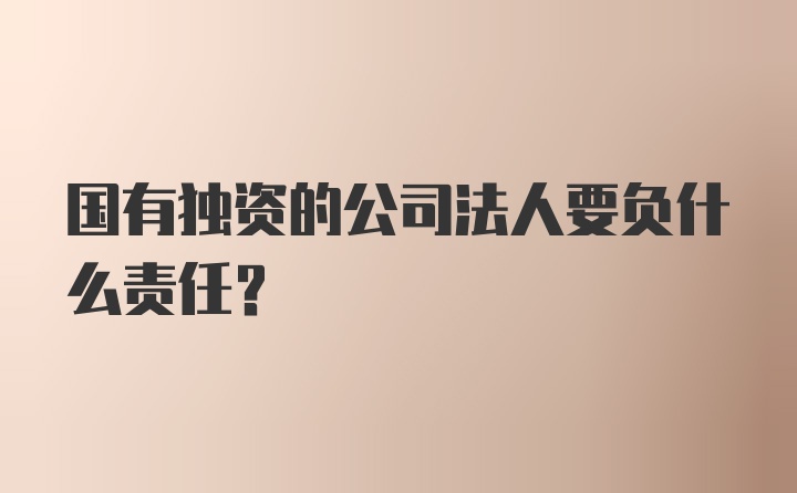 国有独资的公司法人要负什么责任？