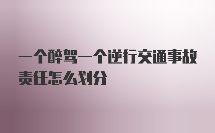 一个醉驾一个逆行交通事故责任怎么划分