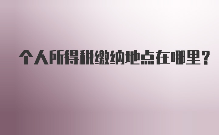 个人所得税缴纳地点在哪里？