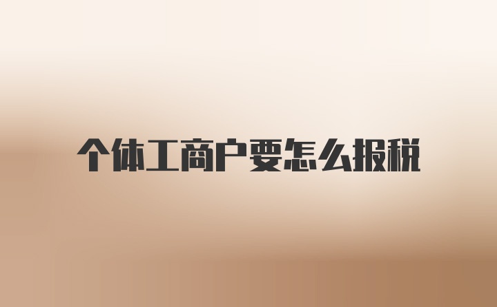 个体工商户要怎么报税
