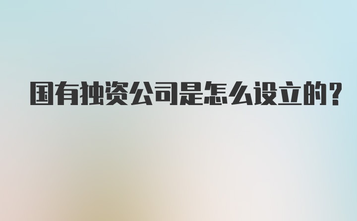 国有独资公司是怎么设立的？