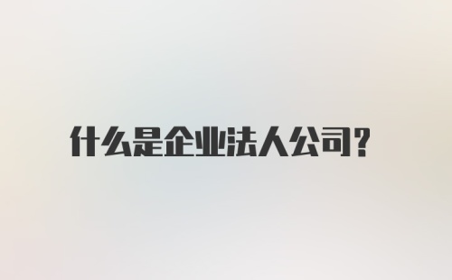 什么是企业法人公司？