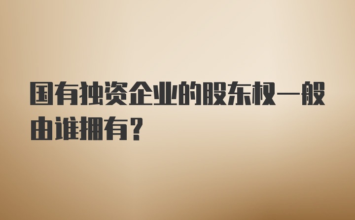 国有独资企业的股东权一般由谁拥有？