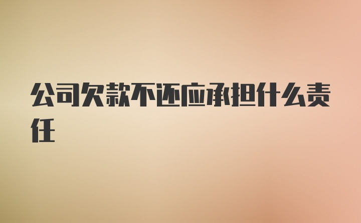 公司欠款不还应承担什么责任